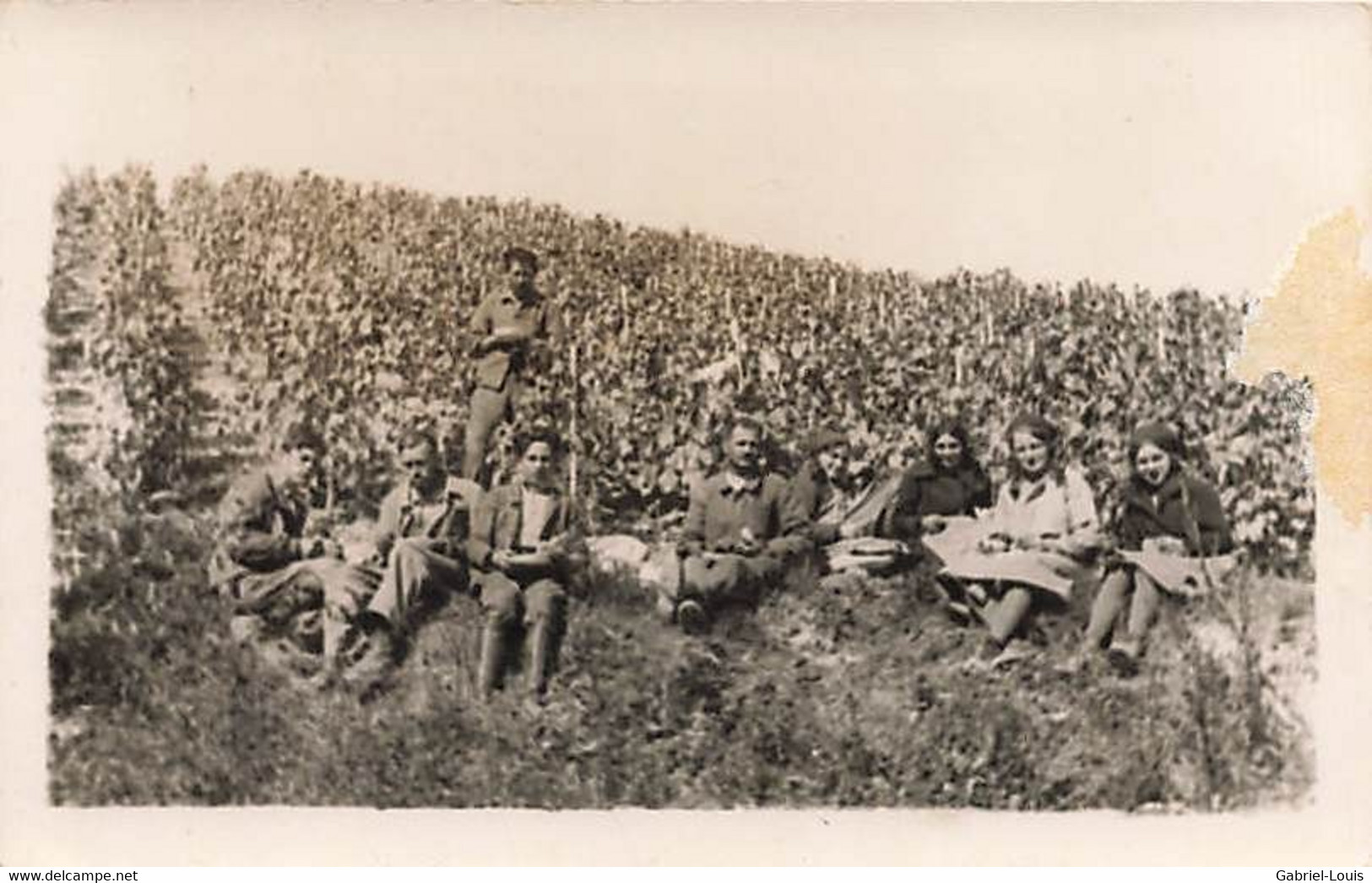 Carte-Photo Dans Lot: Féchy Allaman District De Rolle Vendanges Vignoble Vin Raisin - Allaman