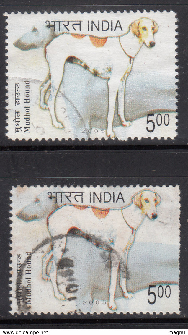 EFO, Colour Shift Variety, India Used 2005, Breed Of Dogs, Dog, Animal - Plaatfouten En Curiosa