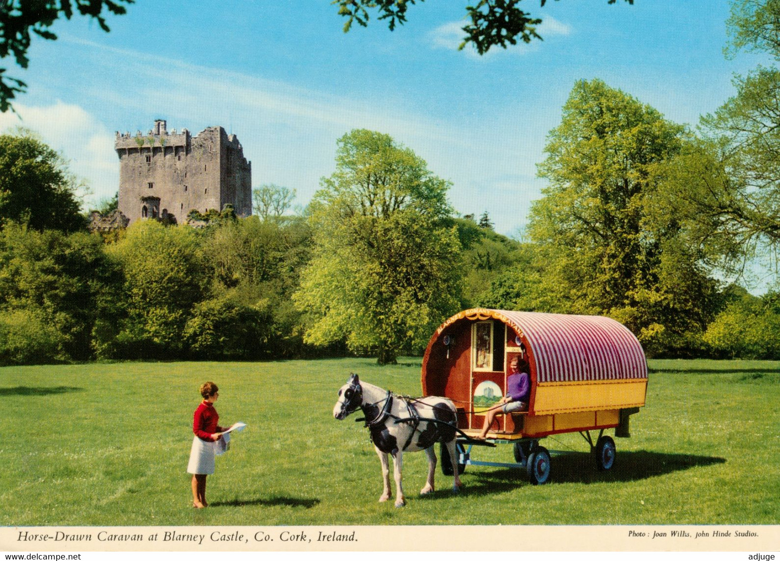 Horse-Drawn Caravan At Blarney Castel, Co. CORK **Scan Recto/Verso - Cork