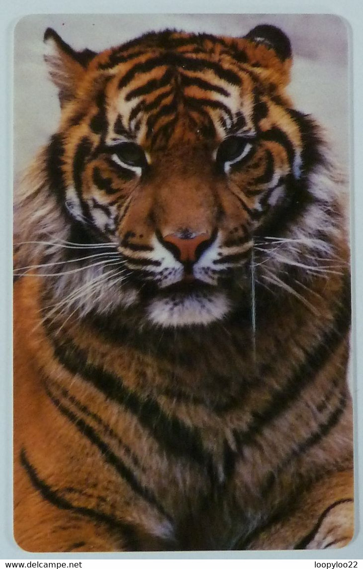 UK - Great Britain - McCorquodale Card Technology Ltd - Tiger - 1994 - Sample - R - Emissions Entreprises