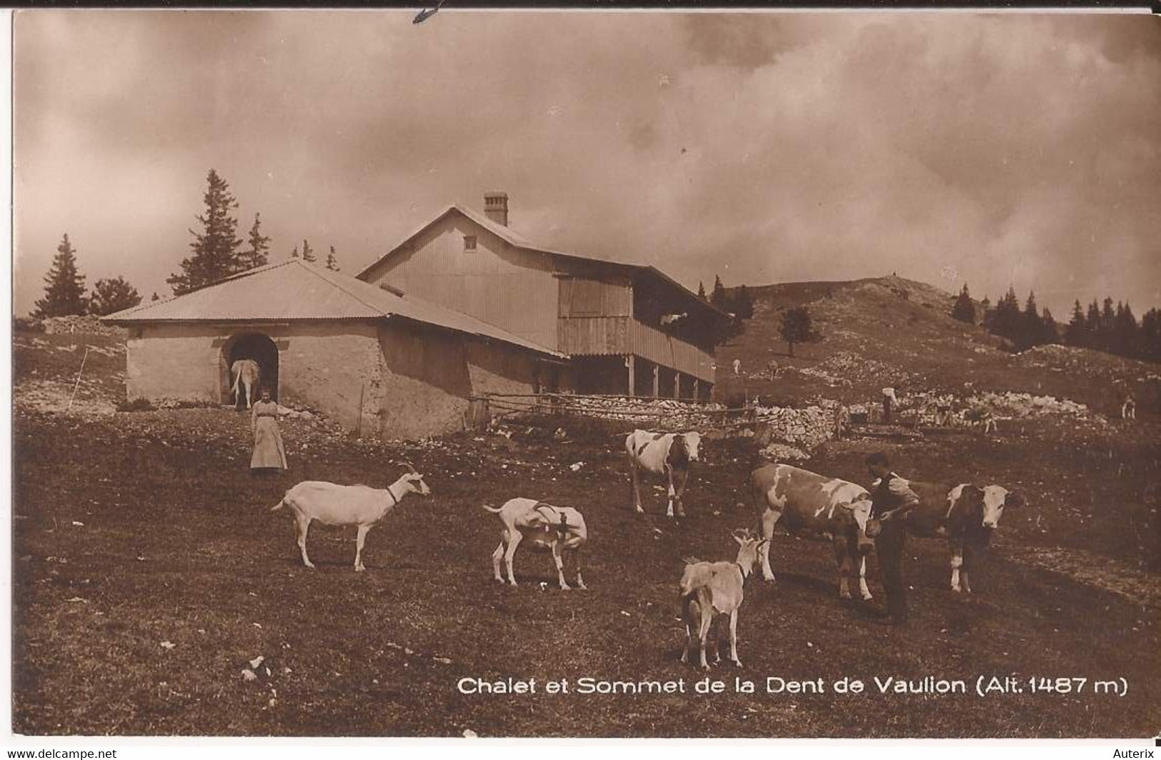 Suisse - Vaud - Vaulion - Chalet Et Sommet De La Dent 1487m Berger Chevres Ziegen Goat - Vaulion