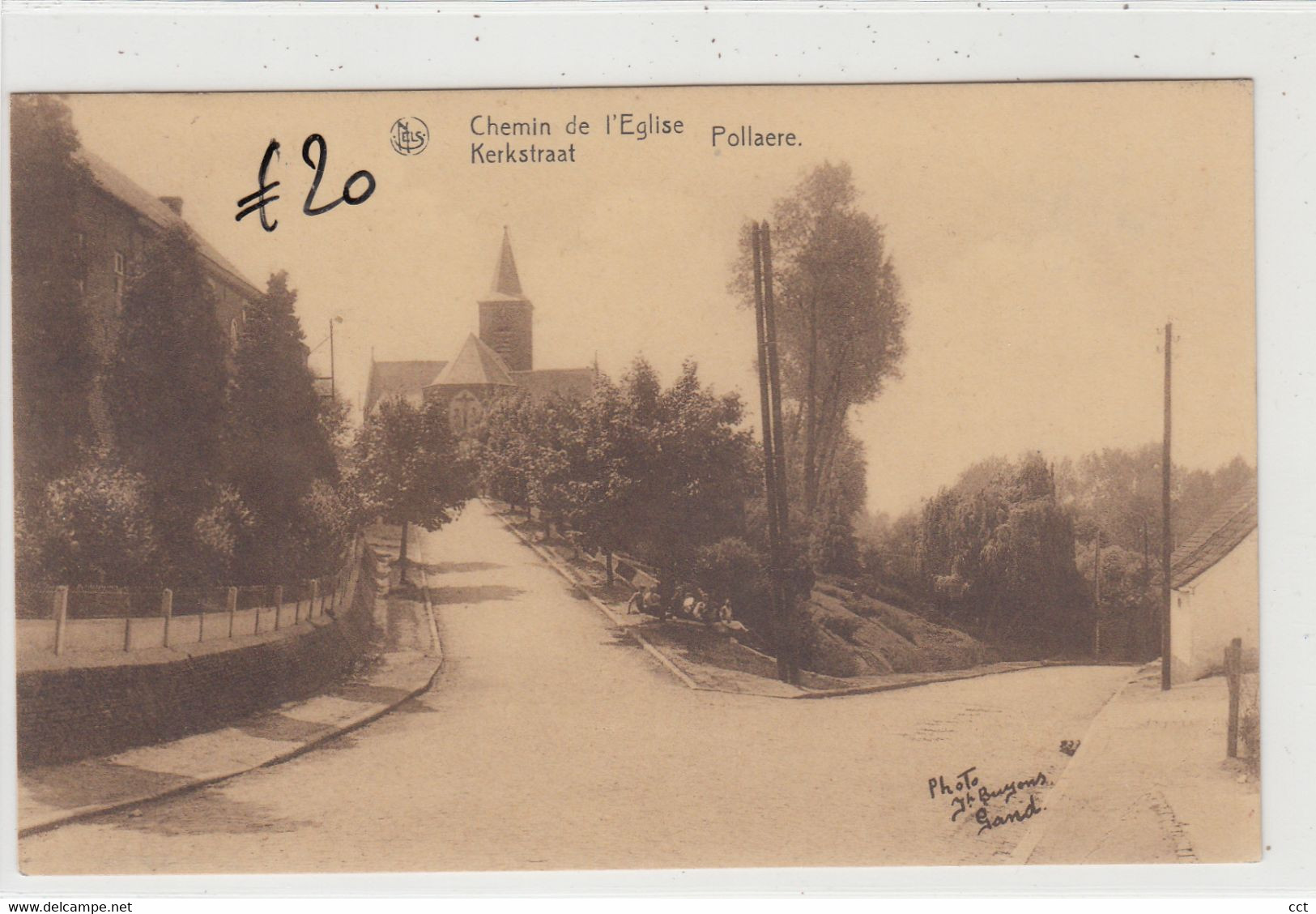 Pollare  Ninove  Chemin De L'Eglise  Kerkstraat - Ninove