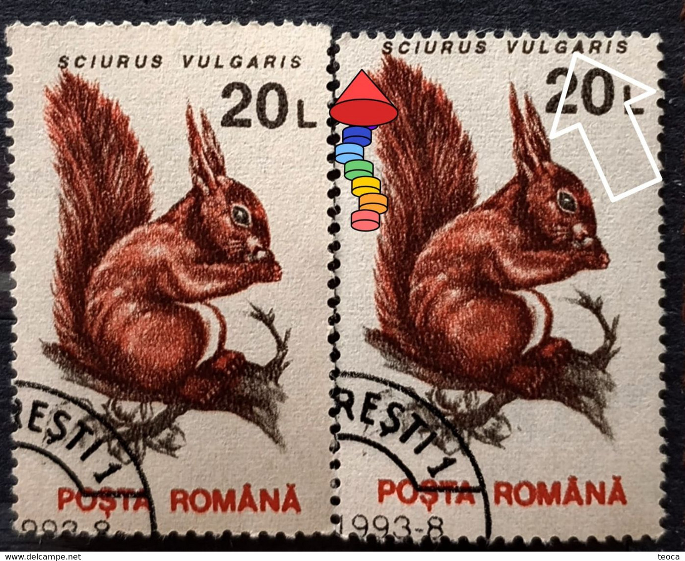 Animals Fauna  Squirrel  Errors Romania 1993 # Mi 4903 Printed With  Misplaced Writer Image - Abarten Und Kuriositäten