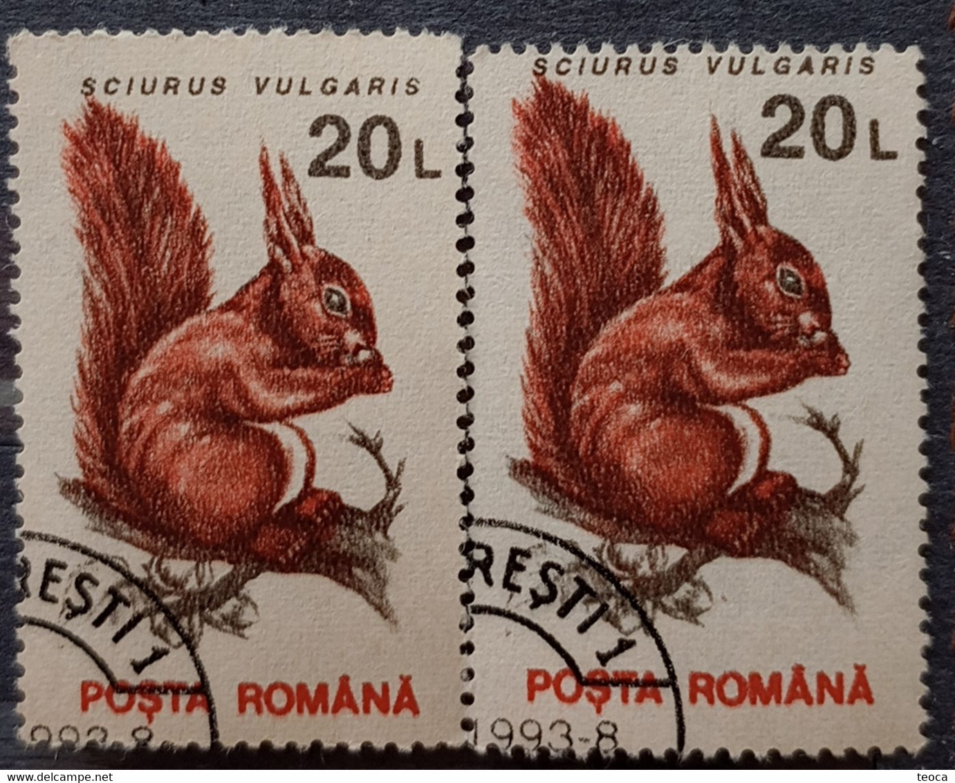 Animals Fauna  Squirrel  Errors Romania 1993 # Mi 4903 Printed With  Misplaced Writer Image - Errors, Freaks & Oddities (EFO)