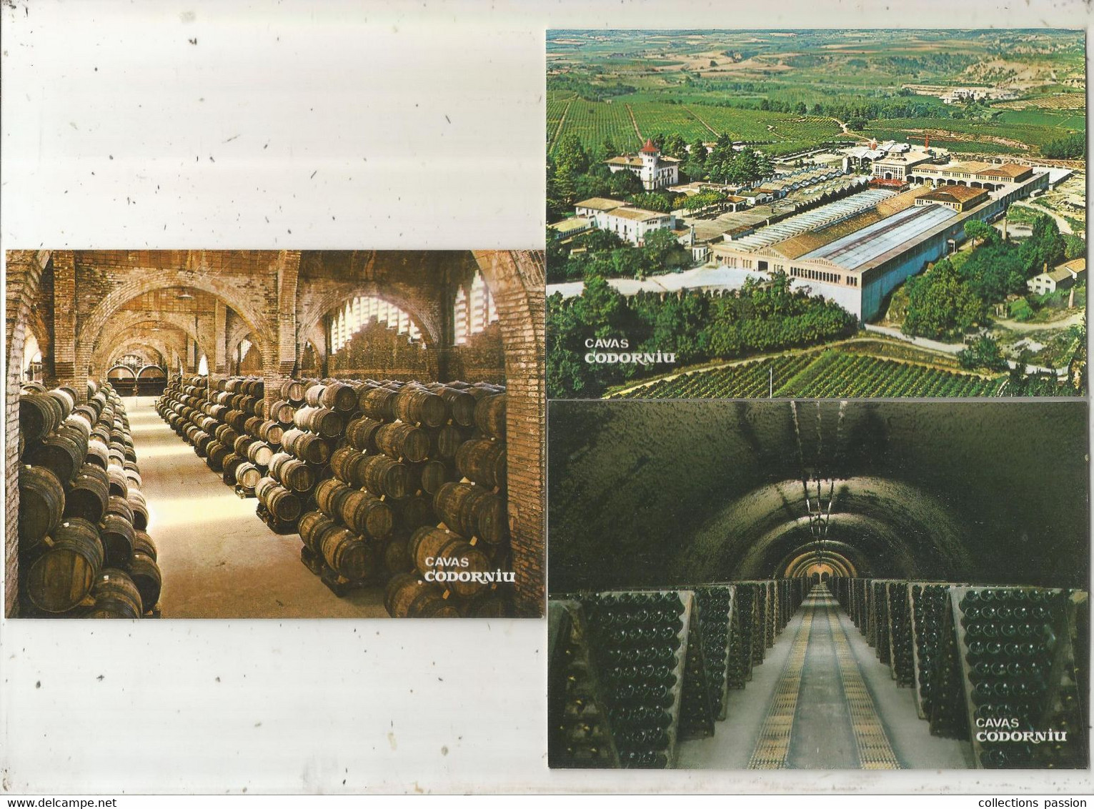 Cp, Vignes ,vins , Espagne ,Barcelona, CAVAS CODORNIU ,LOT DE 5 CARTES POSTALES - 5 - 99 Cartes