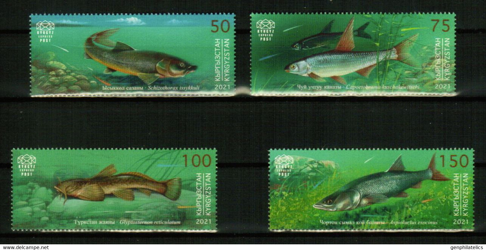 KYRGYZSTAN (KEP) 2021 FAUNA Animals FISH - Fine Set MNH - Kyrgyzstan