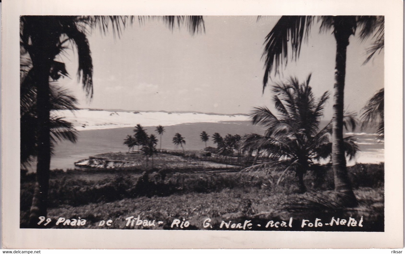 BRESIL(NATAL) CARTE PHOTO(ARBRE) - Natal