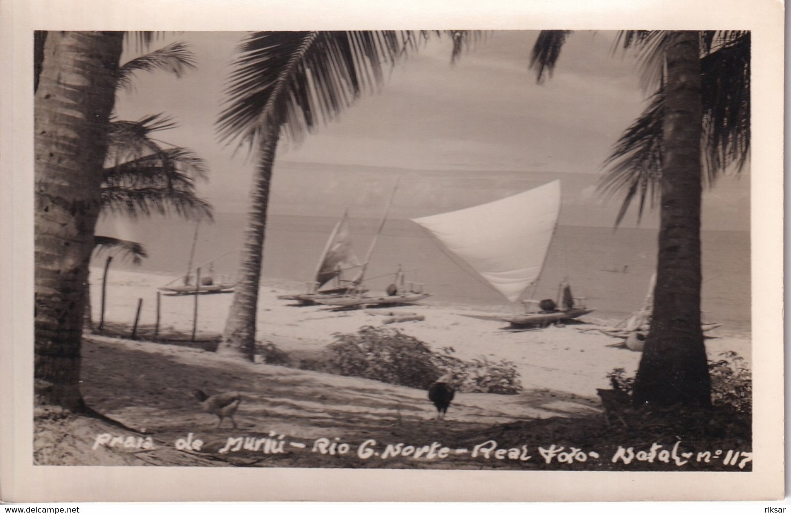 BRESIL(NATAL) CARTE PHOTO(BATEAU A VOILE) - Natal