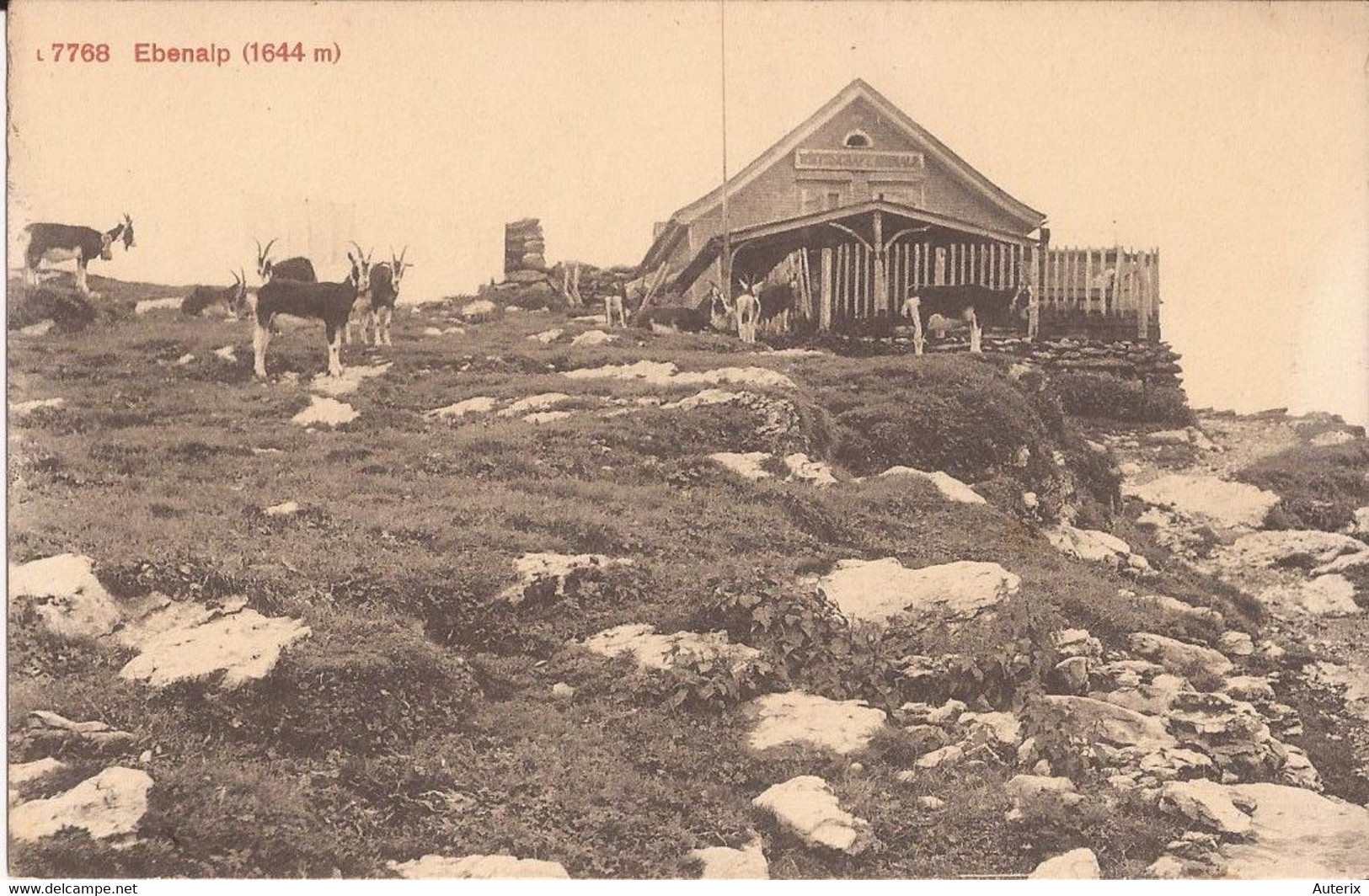 Suisse - C -  Appenzell Ebenalp (1644m) Chalet  Berger Ziegen Chevres Goat Superbe - Autres & Non Classés