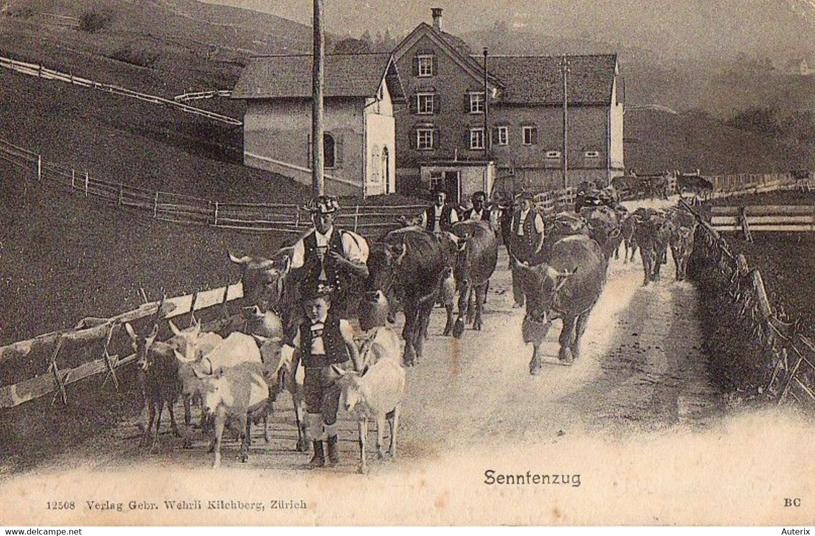 Suisse - NL - Senntenzug Vache Costume Ziegen Chevres Goat Superbe - Zoug