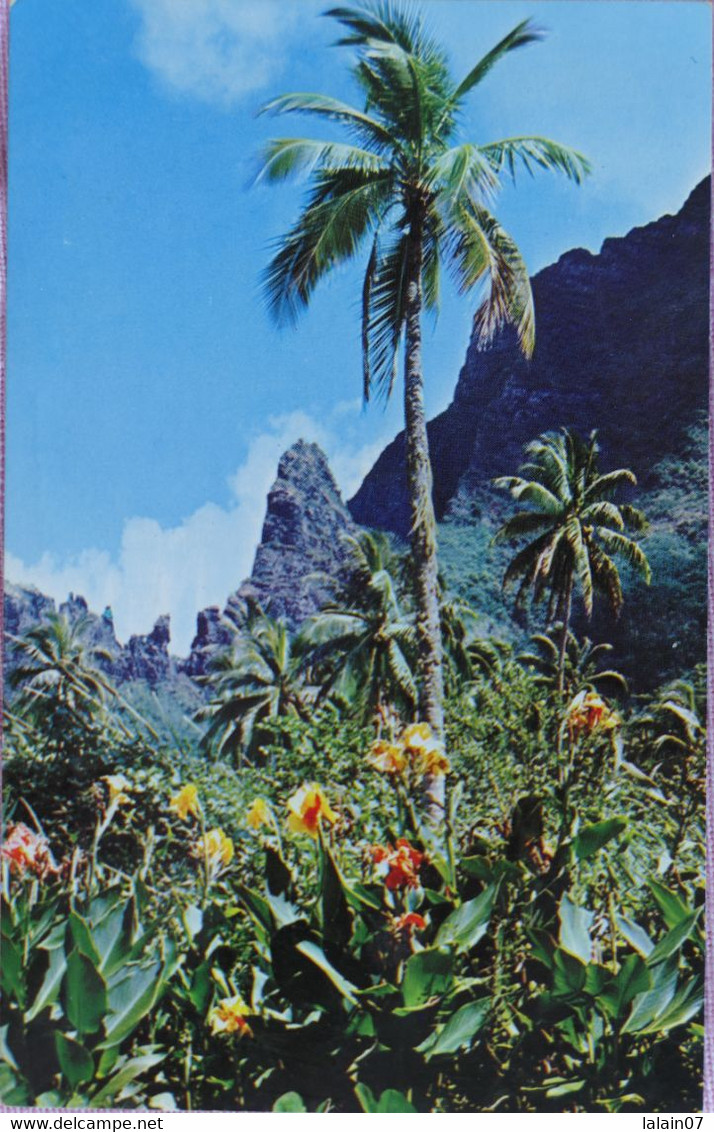 Carte Postale : Tahiti : Paysage De L'île Enchanteresse De MOOREA - Tahiti