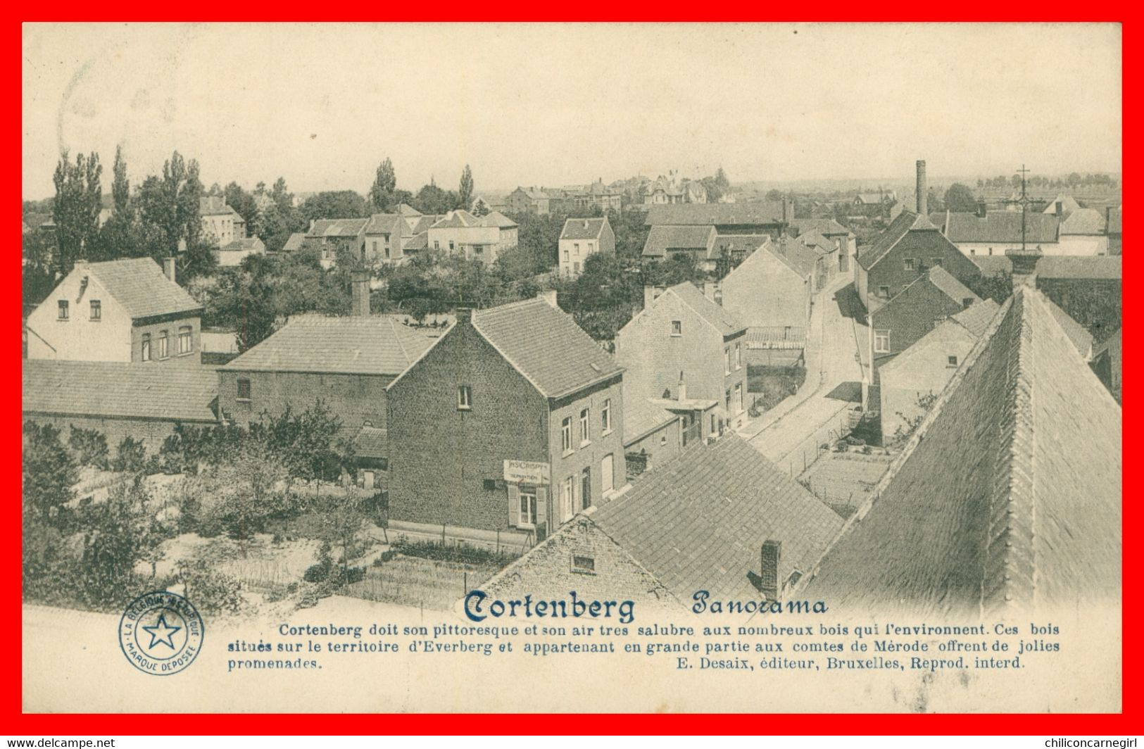 * CORTENBERG - Panorama - KORTENBERG - Edit. VAN TRICHT SANDYCK - 1922 - Kortenberg