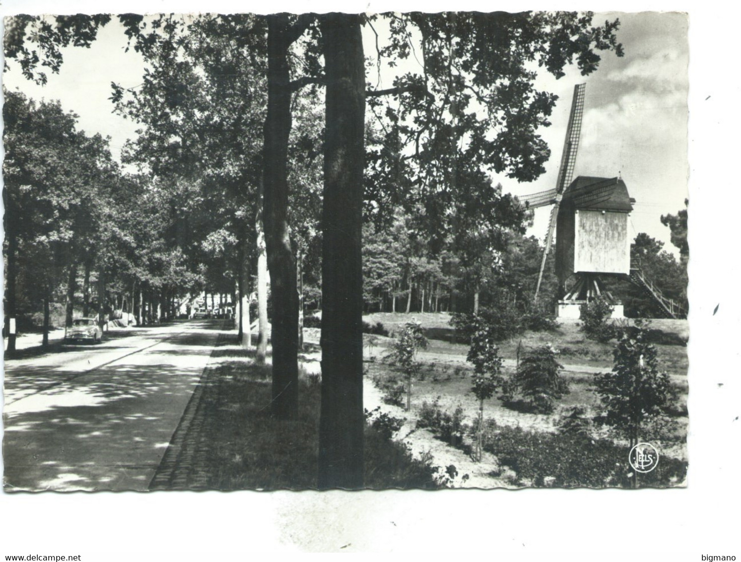 Kasterlee Oude Standaardmolen - Kasterlee