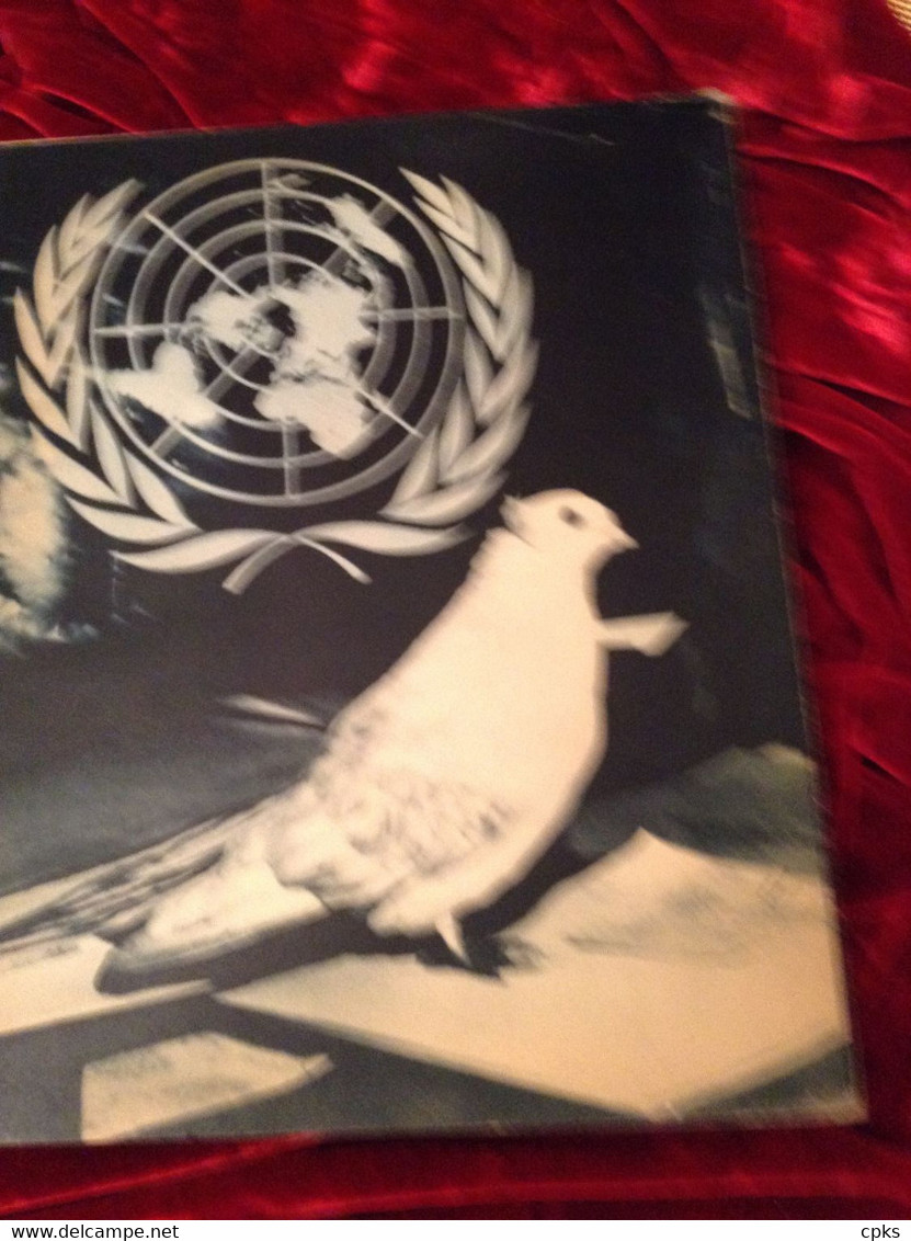 The Home Of The United Nations : A Story In 300 Pictures By H. Felix Krauss.1952. Nations Unies - 1950-Maintenant