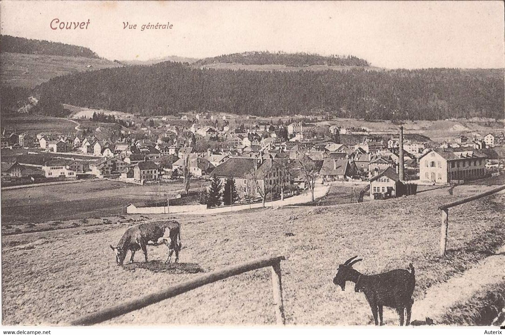 Suisse - C -  Neuchatel - Couvet - Vue Générale Vache Ziege Chevre Goat - Couvet