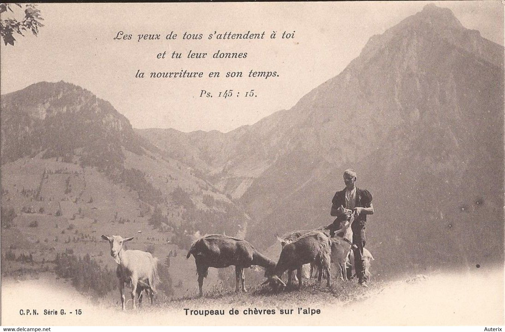 Suisse - Vaud - Ballaigues - Cpn - Troupeau De Chèvres Sur L'Alpe  Ziege Chevre Goat - Ballaigues