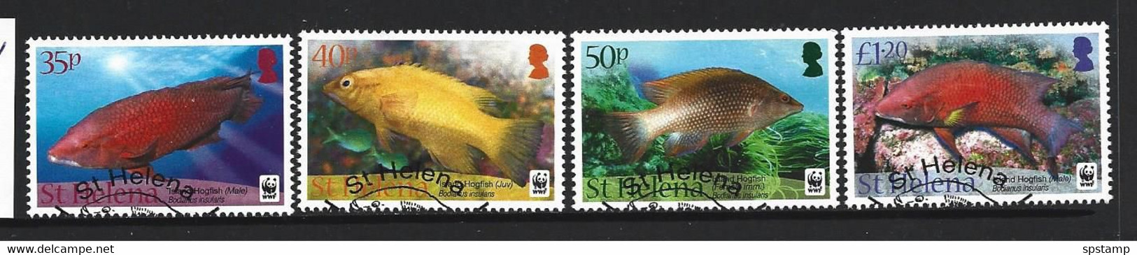 St Helena 2011 WWF Fish Set Of 4 FU - Used Stamps