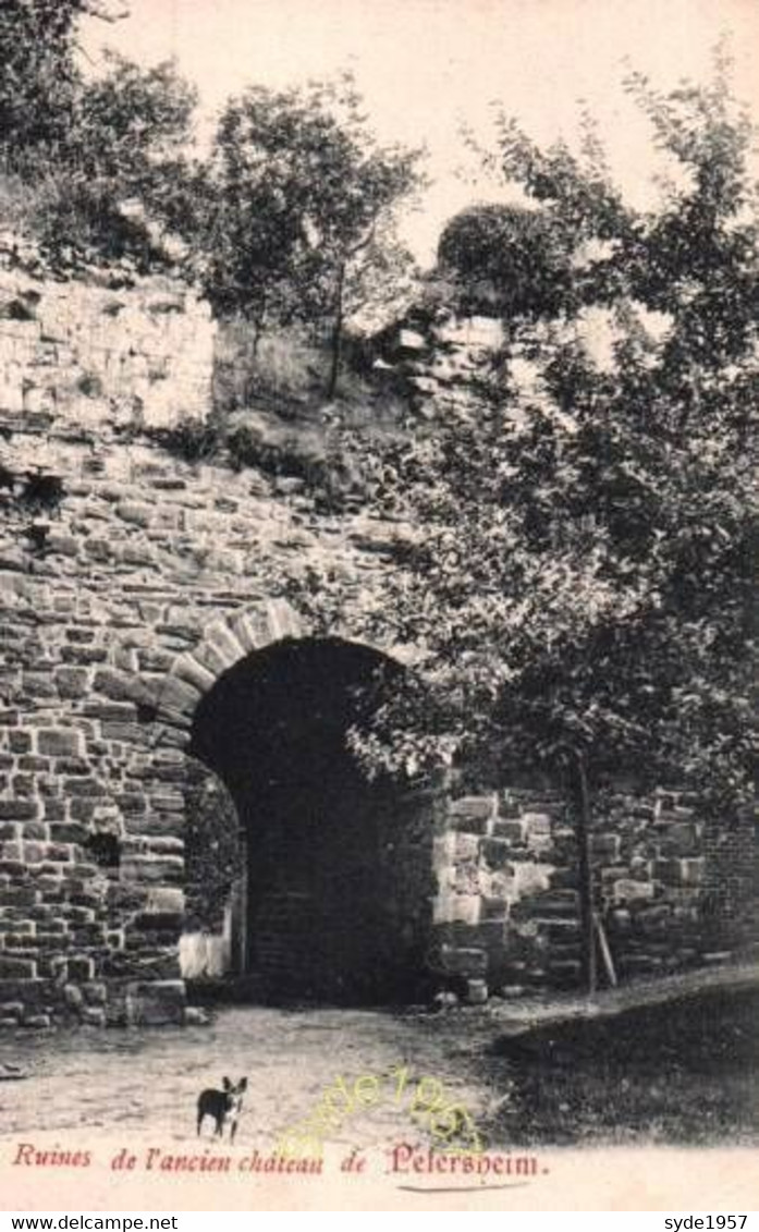Ruines De L'Ancien Château De Petersheim - Lanaken