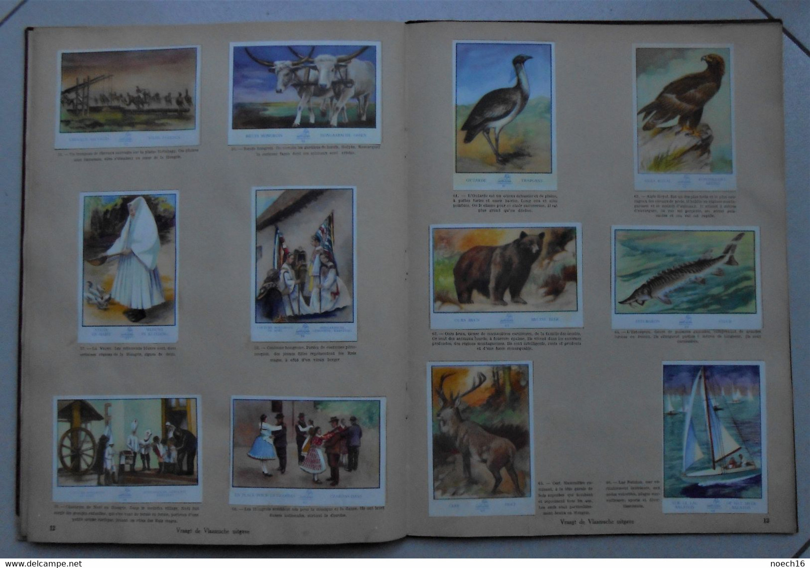 Album Chromos Complet Delhaize Le Lion - Images Du Monde, Congo, Pays-Bas, Corfou, Hongrie, Australie, Laponie - Albumes & Catálogos