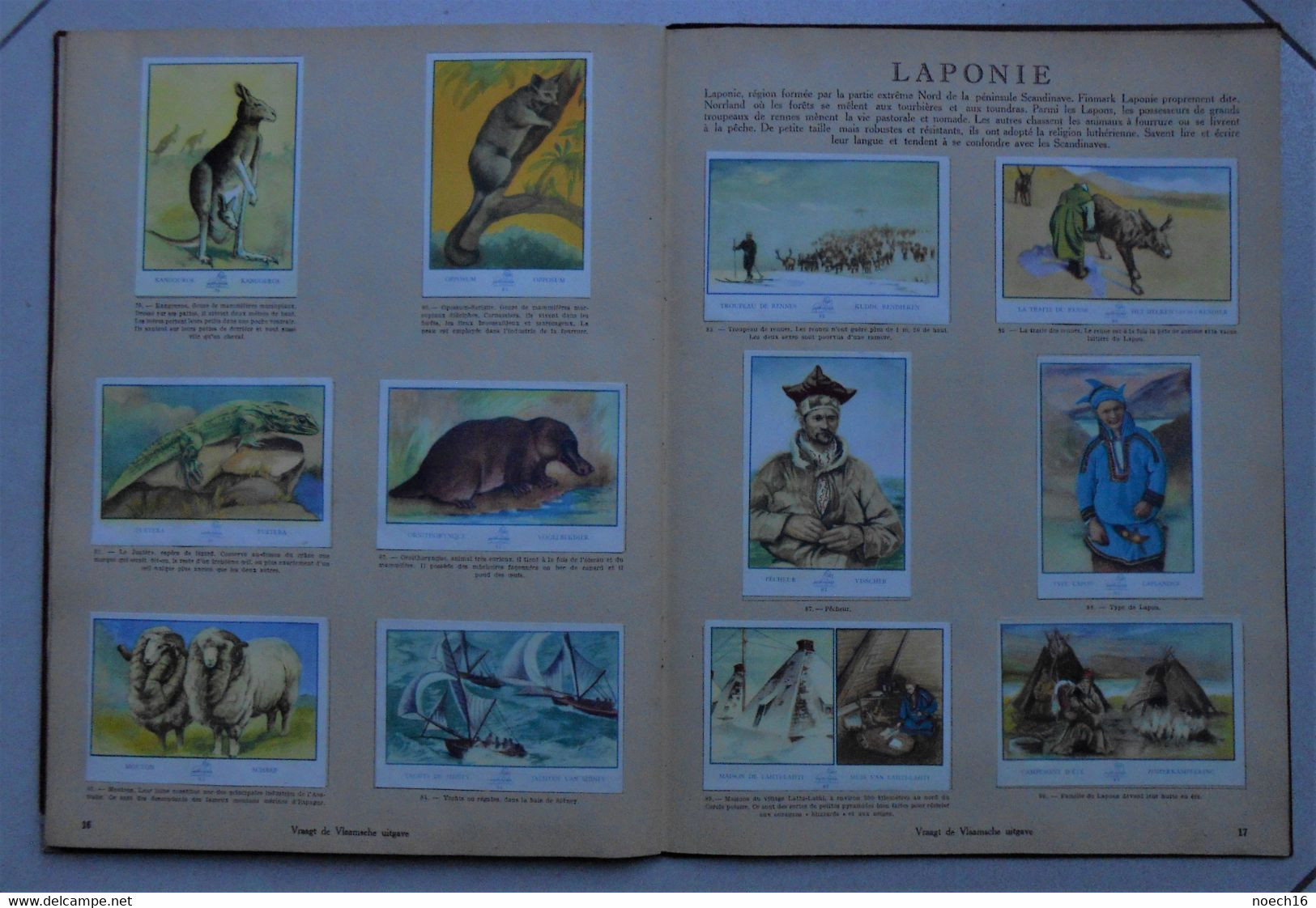 Album Chromos complet Delhaize le Lion - Images du Monde, Congo, Pays-Bas, Corfou, Hongrie, Australie, Laponie