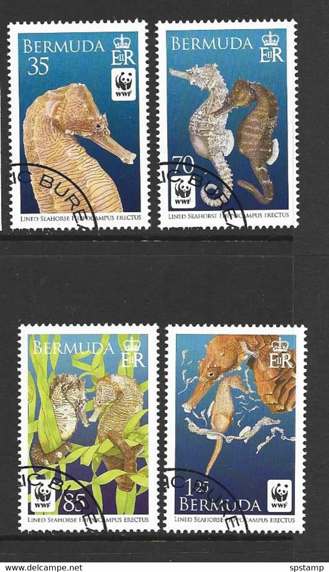 Bermuda 2010 WWF Seahorse Set Of 4 FU - Used Stamps