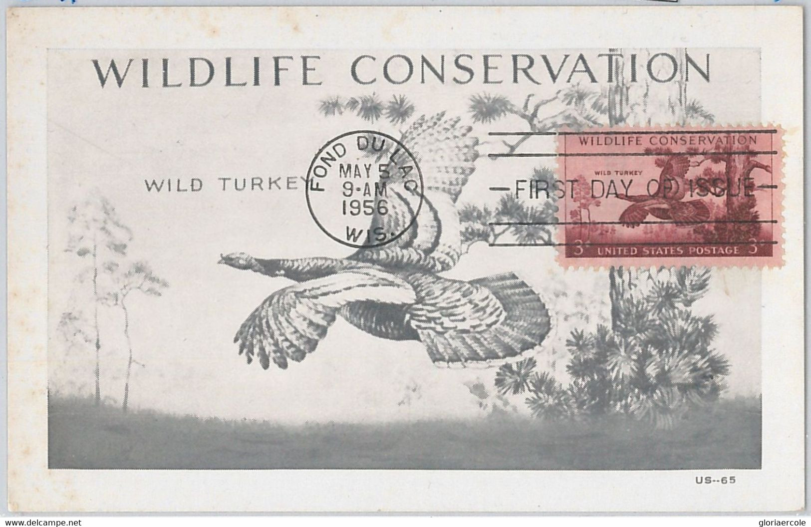 51554  - USA -  POSTAL HISTORY: MAXIMUM CARD - 1956 WILDLIFE: Wild Turkey - Maximum Cards