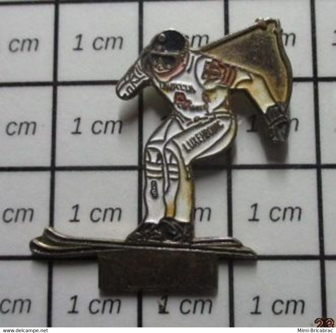 510e Pin's Pins / Beau Et Rare / SPORTS / SKI SKIEUR LUXEMBOURG - Sports D'hiver