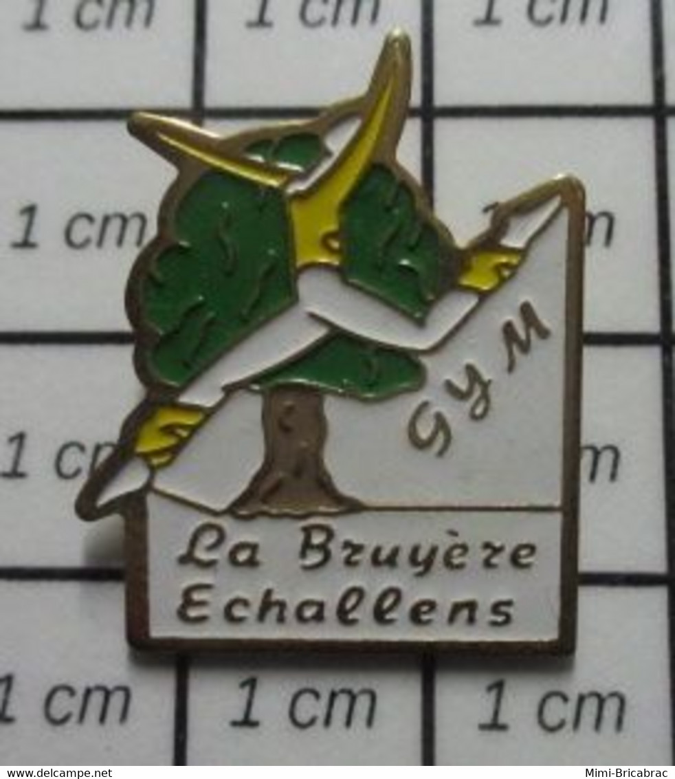 510e Pin's Pins / Beau Et Rare / SPORTS / GYMNASTIQUE CLUB LA BRUYERE ECHALLENS SUISSE CANTON DE VAUD - Gymnastique