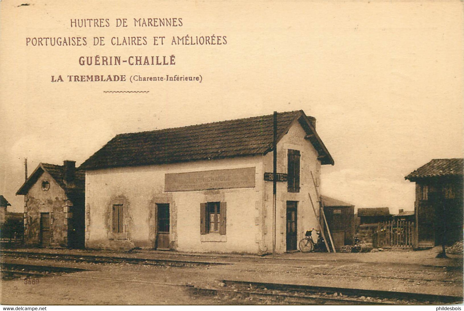 CHARENTE MARITIME  LA TREMBLADE  " Huitres De Marennes Portugaises De Claires Et Ameliorées GUERIN CHAILLE - La Tremblade