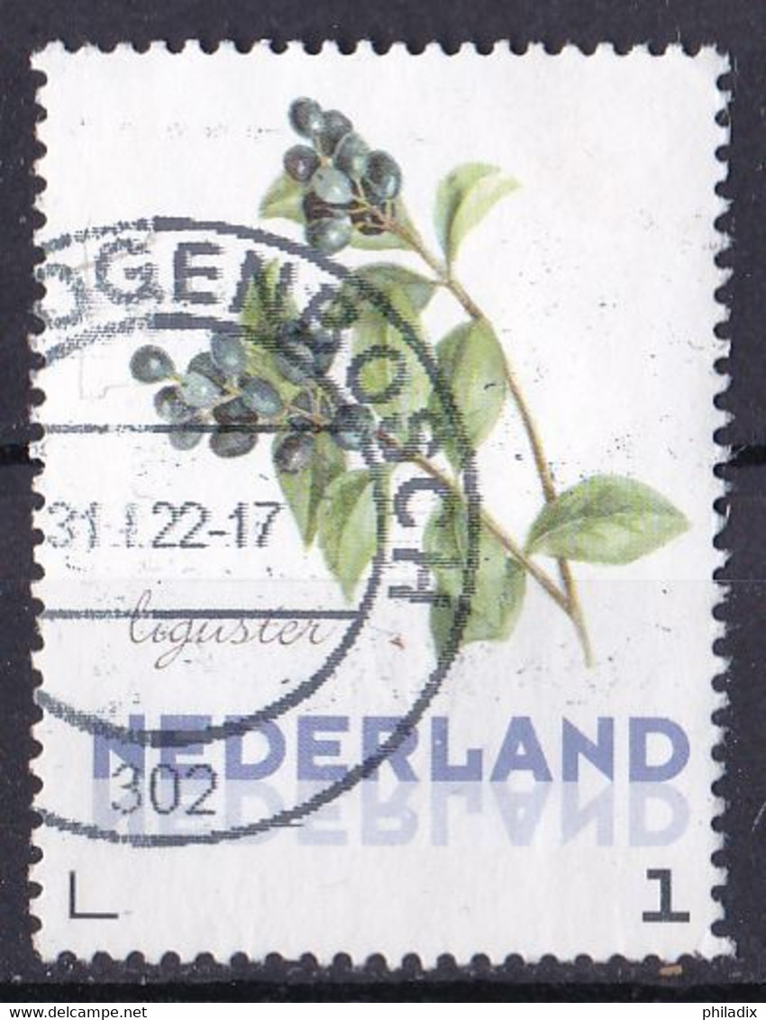 Niederlande Marke Von 2022 O/used (A1-24) - Gebraucht