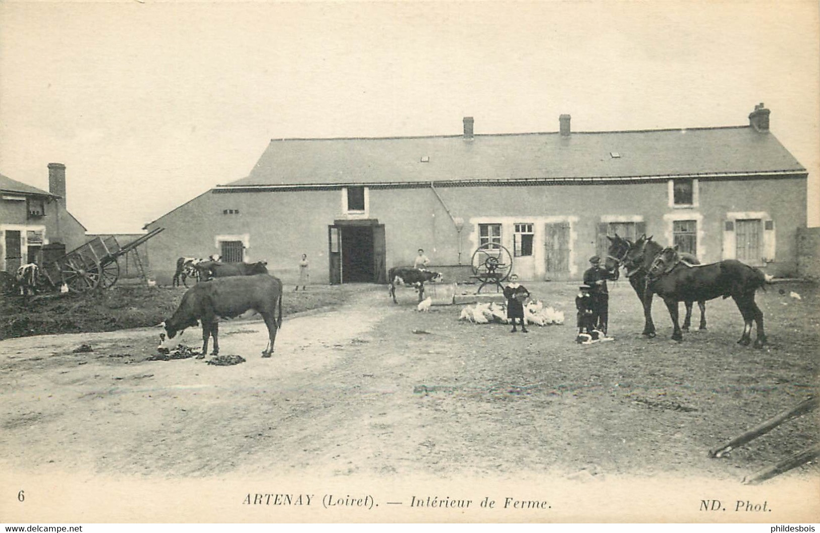 LOIRET  ARTENAY  Intérieur De La Ferme - Artenay