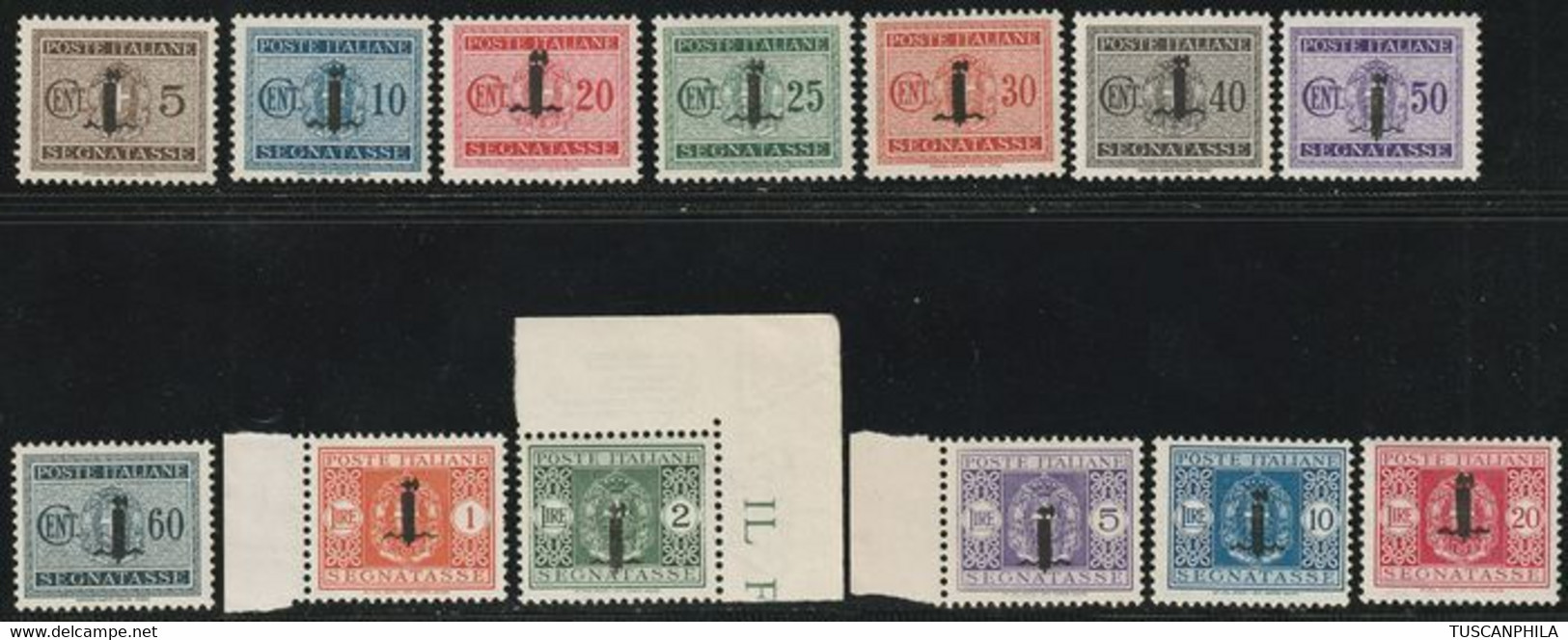 Segnatasse Soprastampati Fascetto Serie Completa Integra Rara - Sassone S.2309 - Postage Due