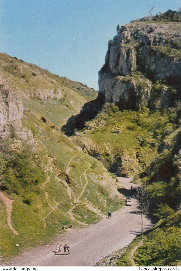 Postcard The Gorge Cheddar Somerset My Ref B25645 - Cheddar