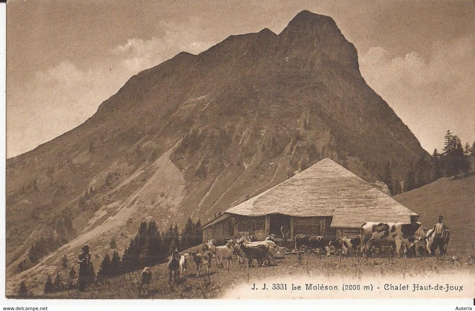 Suisse - C -  Fribourg - Le Moléson - Chalet Haut-de-Joux Vache Berger Ziege Chevre Goat - Fribourg