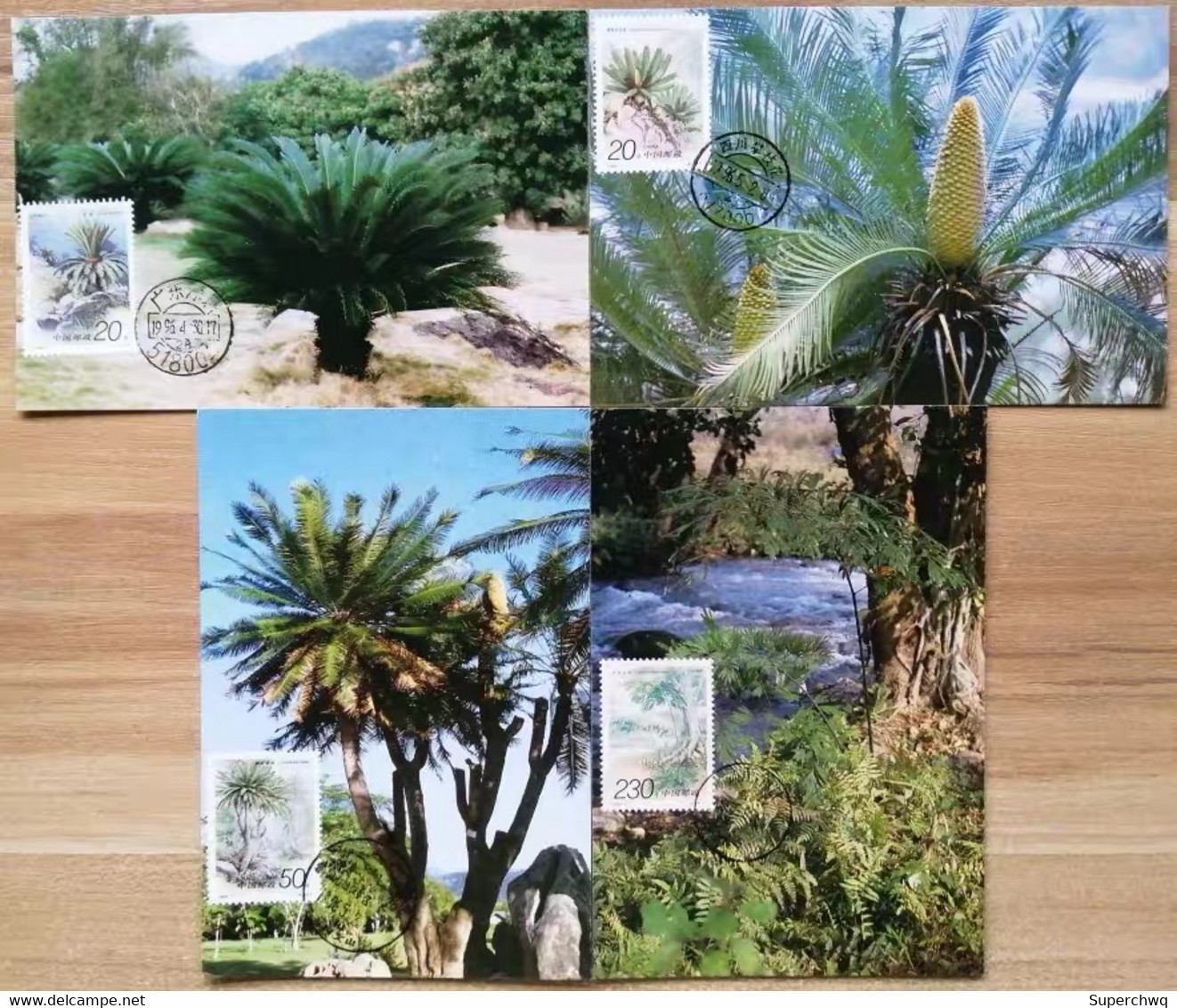 China Maximum Card,1996-7 Cycas,4 Pcs - Cartes-maximum