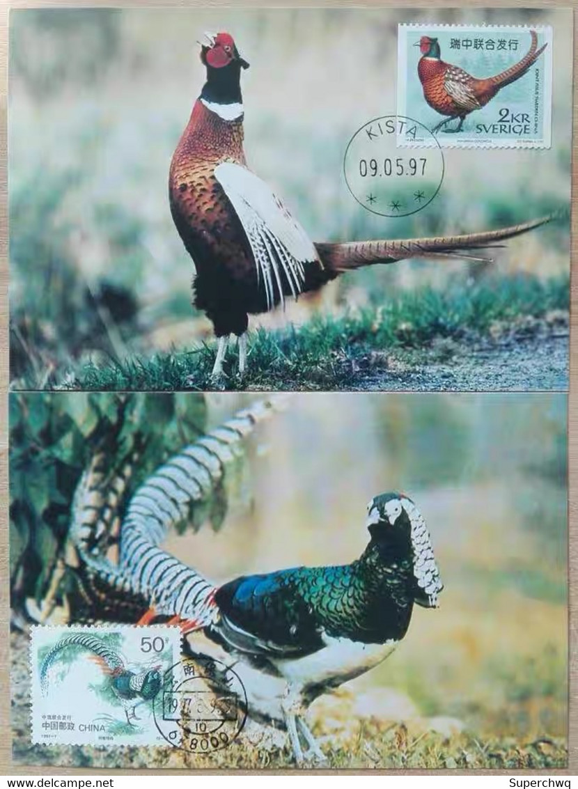 China Maximum Card,1997 MC-30 Rare Birds,2 Pcs - Cartes-maximum