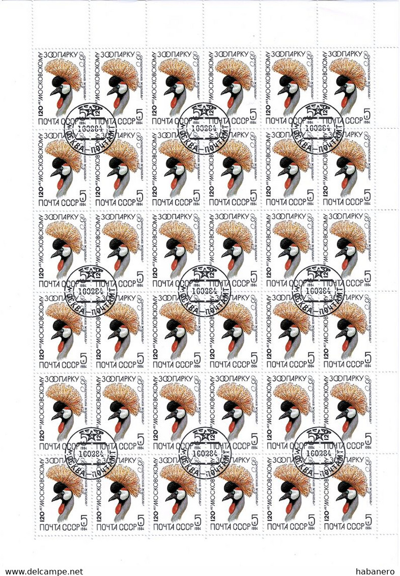 USSR 1984 Mi 5359 BIRDS SOUTH AFRICAN CROWNED CRANE FULL SHEET - Hojas Completas