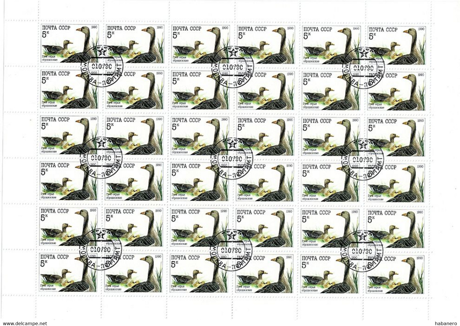 USSR 1990 Mi 6102 BIRDS GREYLAG GEESE FULL SHEET - Full Sheets