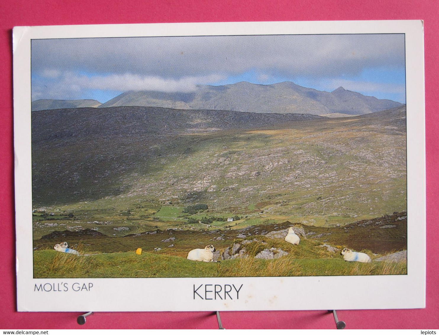 Visuel Très Peu Courant - Irlande - Moll's Gap - R/verso - Kerry