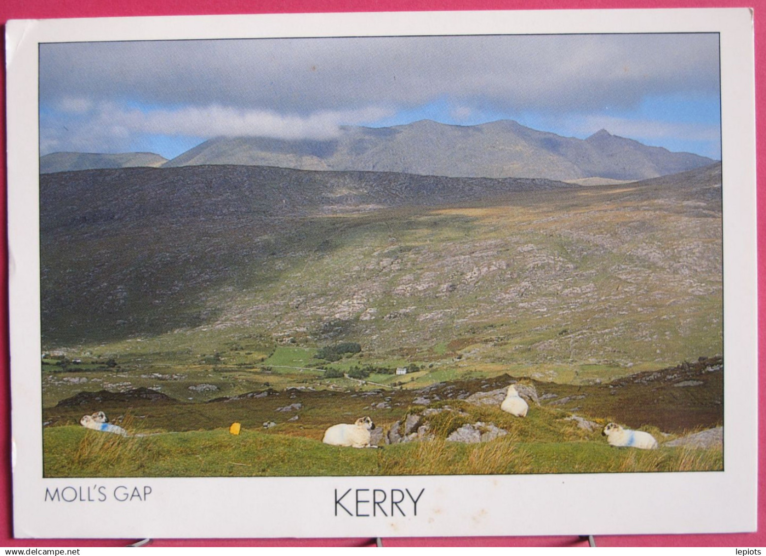 Visuel Très Peu Courant - Irlande - Moll's Gap - R/verso - Kerry