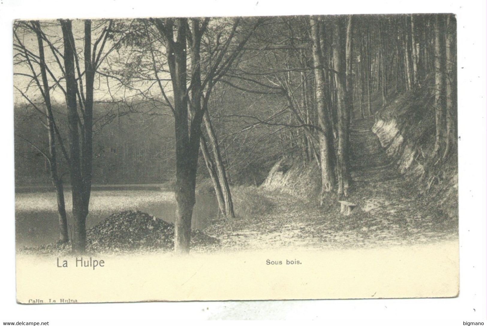 La Hulpe Sous Bois  ( Carte Ayant Voyagé ) - La Hulpe