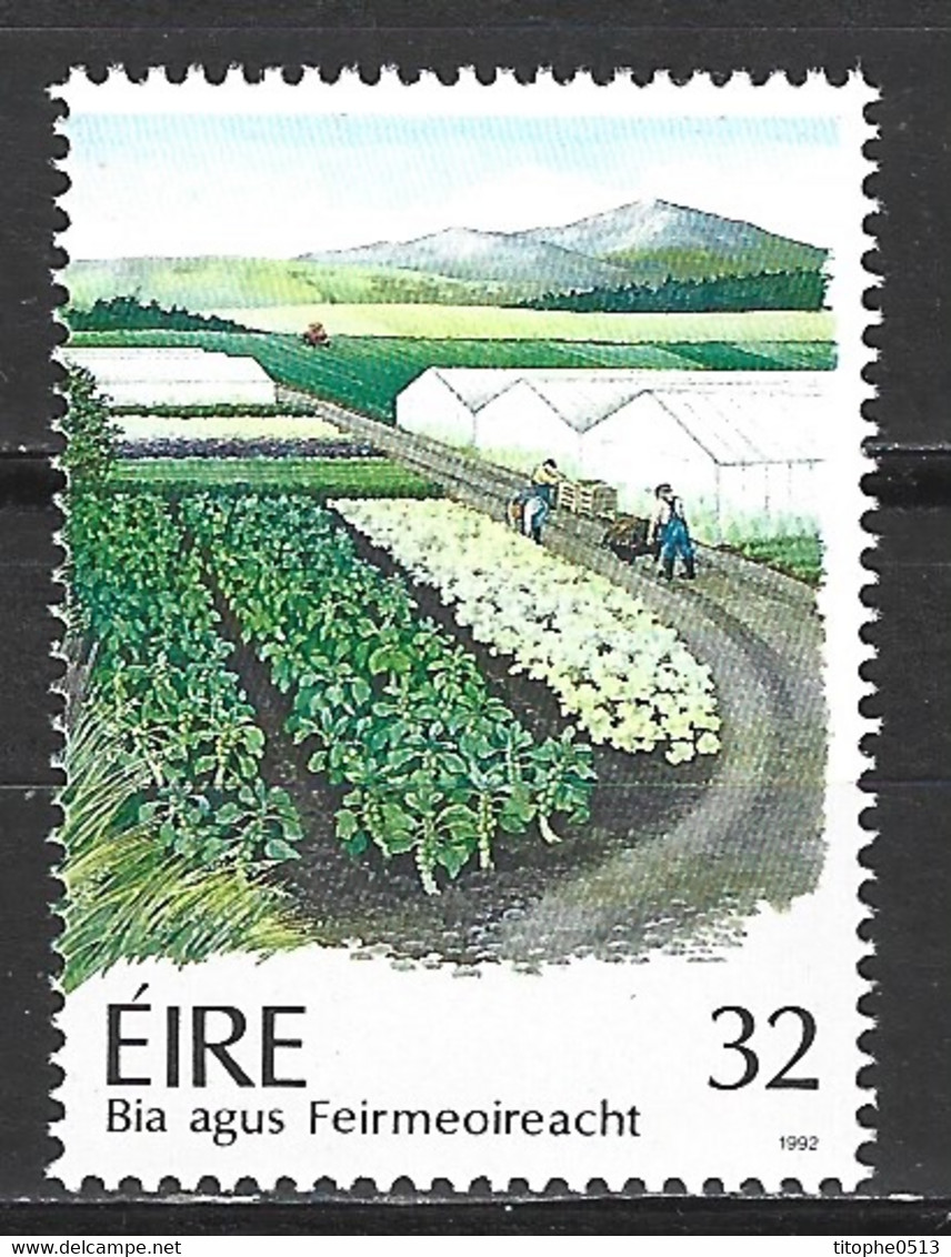 IRLANDE. N°812 De 1992. Culture Maraîchère. - Legumbres