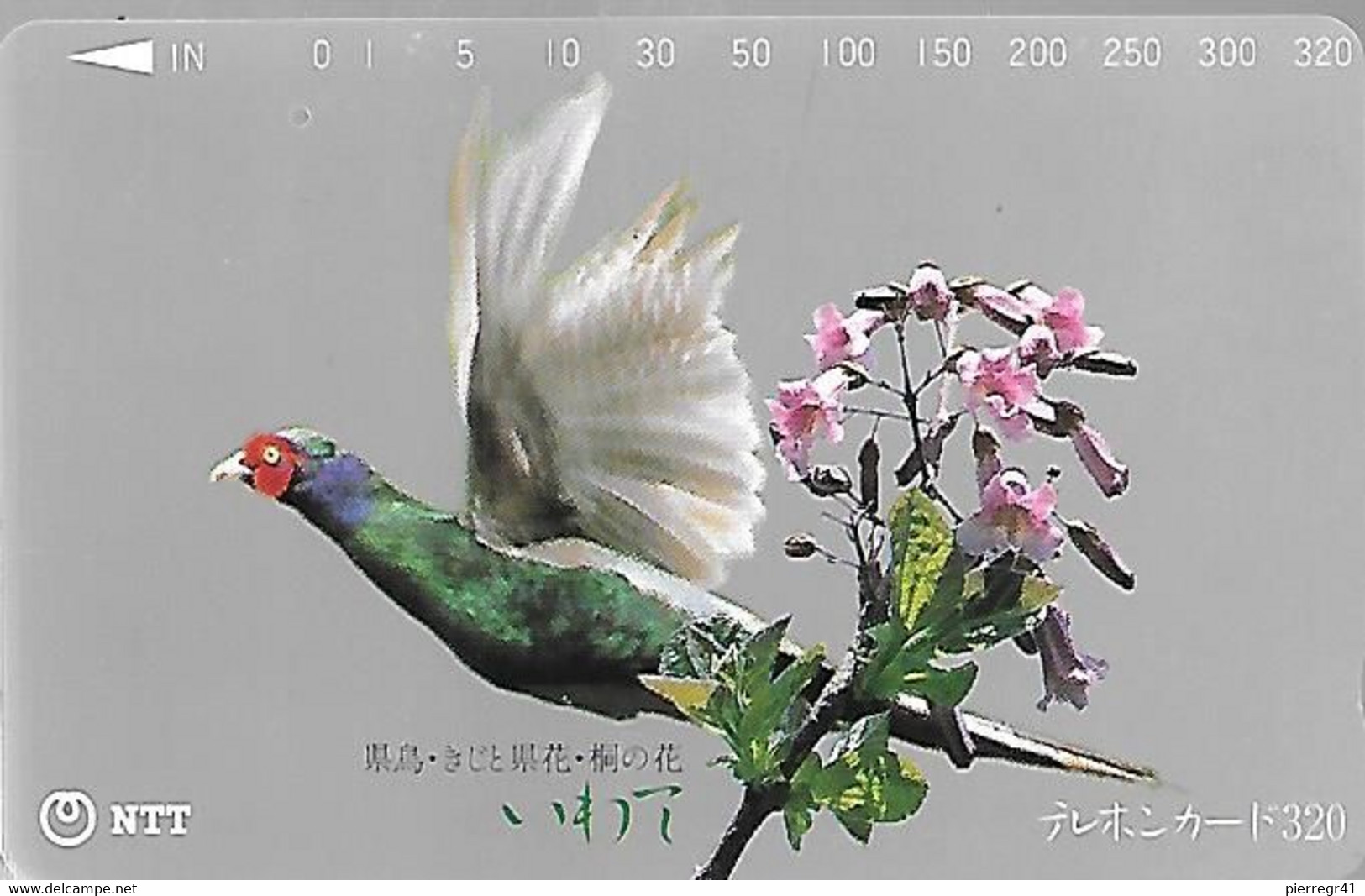 CARTE-MAGNETIQUE-JAPON-GALLINACE-FAISAN ANNELE-Utilisé-TBE- - Gallinaceans & Pheasants