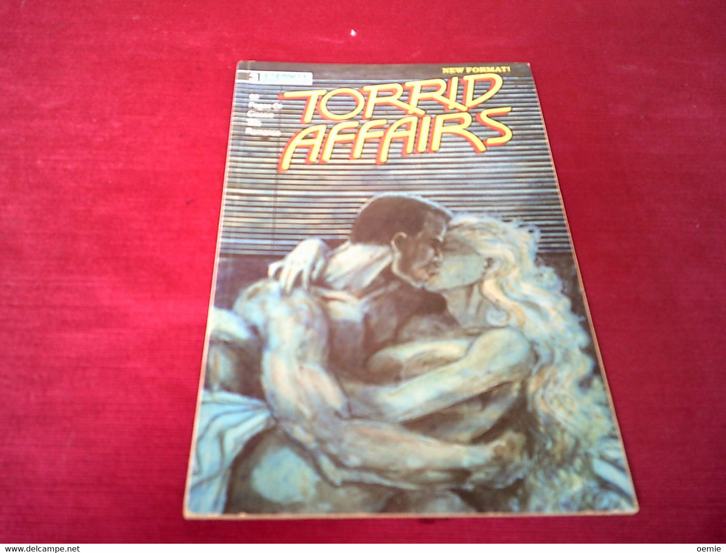 TORRID  AFFAIRS   N° 3   ( 1989 ) - Otros Editores