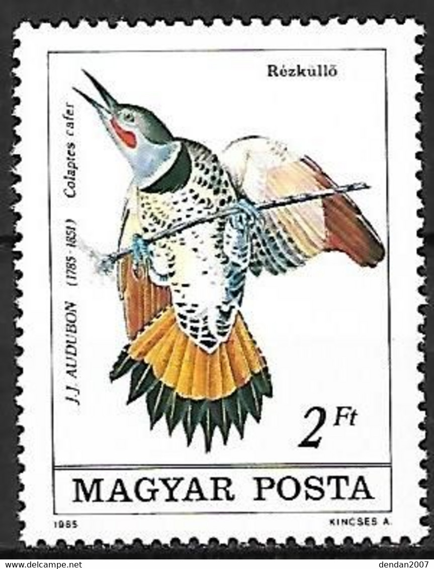 Hungary - MNH ** 1985 : Northern Flicker  -  Colaptes Auratus - Pics & Grimpeurs