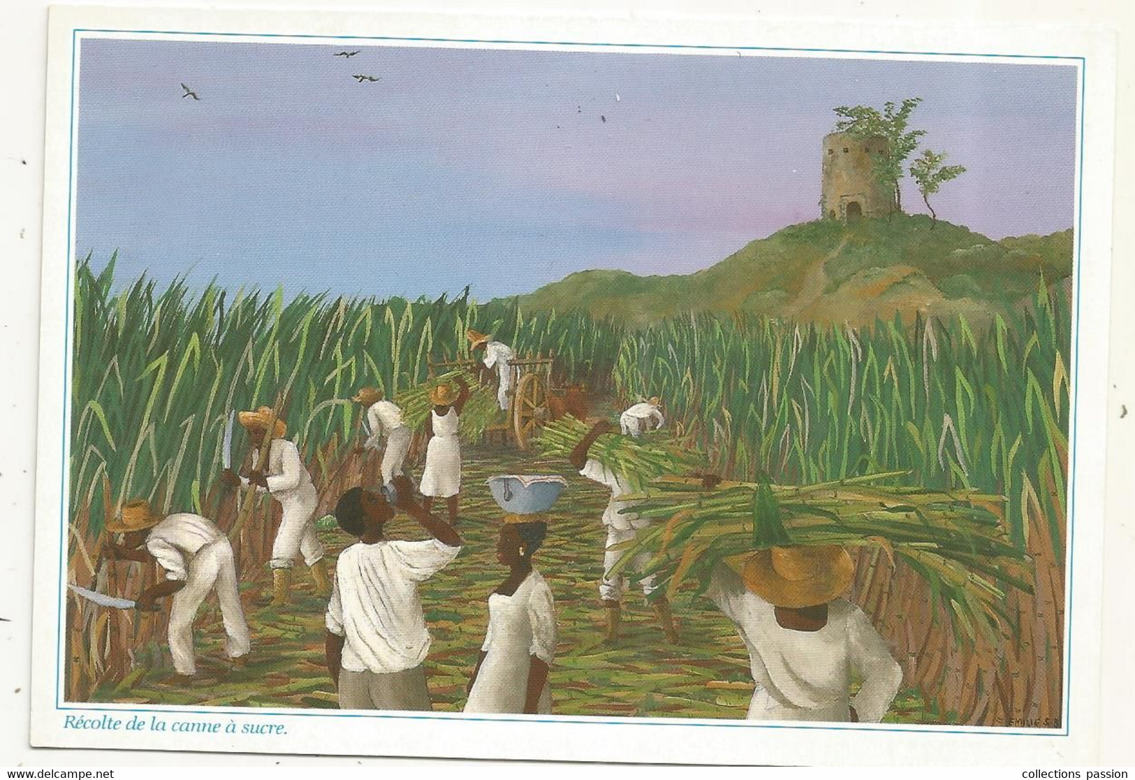 Cp , Images Des ANTILLES , Illustrateur Emilie ,RECOLTE DE LA CANNE A SUCRE , Agriculture ,culture, Vierge - Sonstige & Ohne Zuordnung