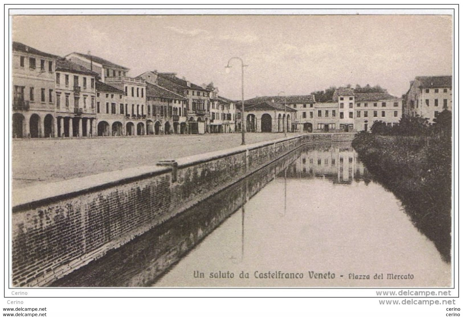 CASTELFRANCO  VENETO (TV):  UN  SALUTO  DA ... -  PIAZZA  DEL  MERCATO  -  FP - Plazas De Mercados