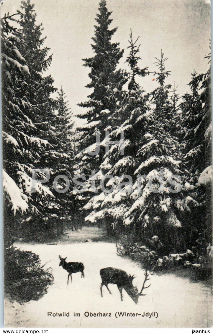 Rotwild Im Oberharz - Winter Idyll - Animals - Deer - Old Postcard - Germany - Unused - Oberharz