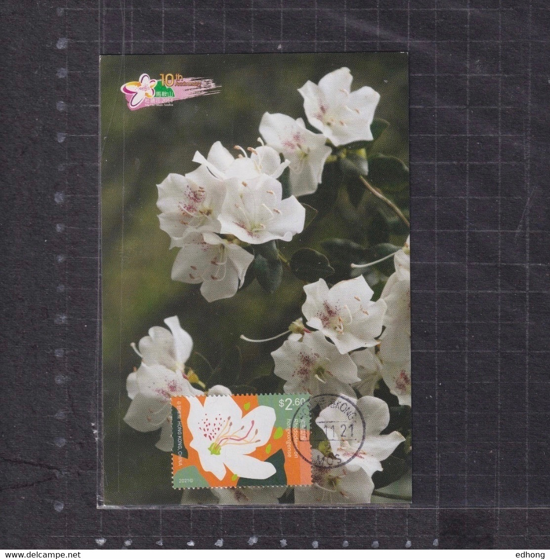 [Carte Maximum / Maximum Card /  Maximumkarte] Hong Kong 2021 | Domestic Flowers - Azalea, Datestamp With Maonshan - Maximumkarten