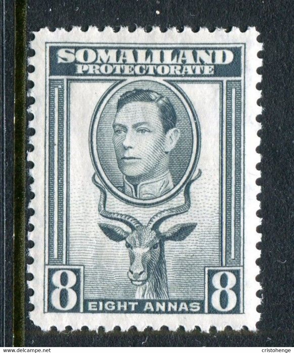 Somaliland 1938 KGVI - Portrait To Left - Sheep, Kudu & Map Issue - 8a Grey HM (SG 99) - Somaliland (Protectorate ...-1959)